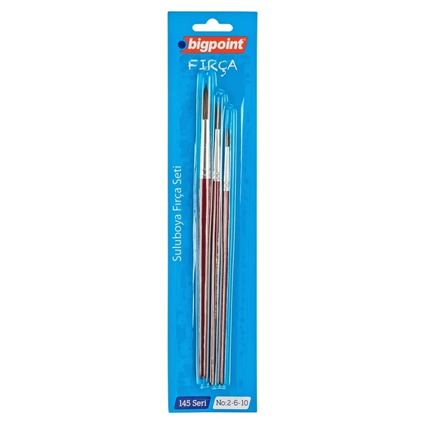 Bigpoint 145 Serisi Yuvarlak Fırça Seti 2-6-10 3'lü Blister x 6 Blister ürün görseli 1