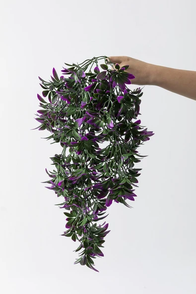 Yapay Sarmaşık Şeflore (Uv) Korumalı Yeşil Mor 80 Cm 5 Dal (Uv) ürün görseli 1