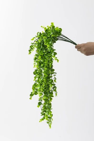 Yapay Okaliptus Sarmaşık (Uv) Korumalı Açık Yeşil 70 Cm 5 Dal (Uv) ürün görseli 1