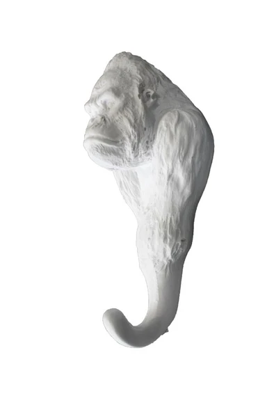 Polyester Goril Duvar Askısı 15x7cm HYK710 ürün görseli 1