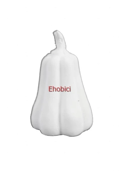 Polyester Mini Uzun Kabak 9x5cm HYK672 ürün görseli 1