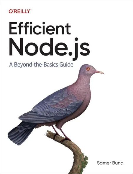 Efficient Node.js: A Beyond-the-Basics Guide Samer Buna ürün görseli 1