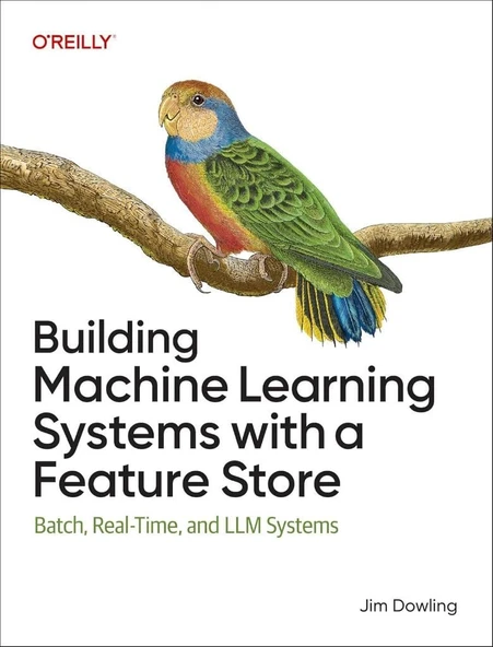 Building Machine Learning Systems with a Feature Store: Batch, Real-Time, and LLM Systems Jim Dowling ürün görseli 1
