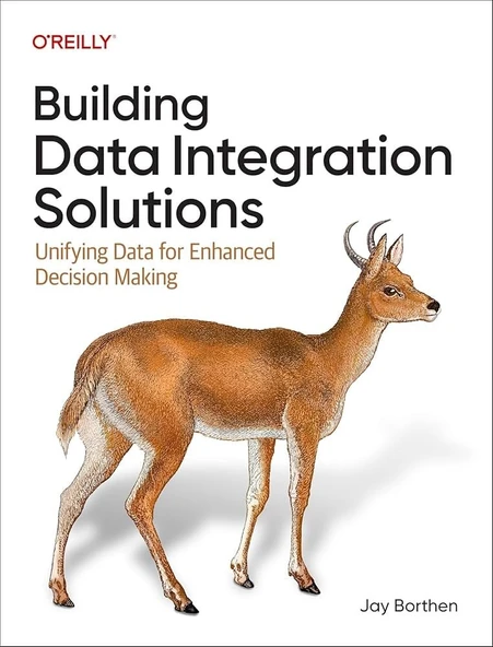 Building Data Integration Solutions: Unifying Data for Enhanced Decision Making Jay Borthen ürün görseli 1