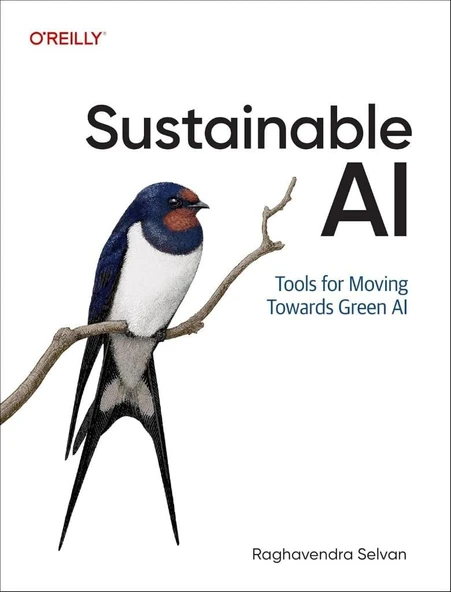 Sustainable AI: Tools for Moving Toward Green AI Raghavendra Selvan ürün görseli 1