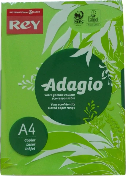 Rey Copy Açık Yeşil Renkli Fotokopi Kağıdı A4 80 Gr 500'lü Paket ürün görseli 1