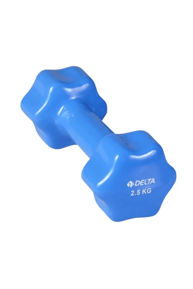 Delta 2,5 Kg Pvc Dambıl Ağırlık ürün görseli 1