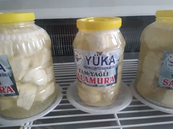 Tam Yağlı Salamur Peynir ürün görseli 1
