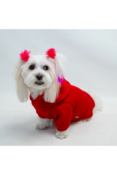 Kedi & Köpek Kıyafetleri Sweatshirt Hoodie - Baskısız Kırmızı ürün görseli 1