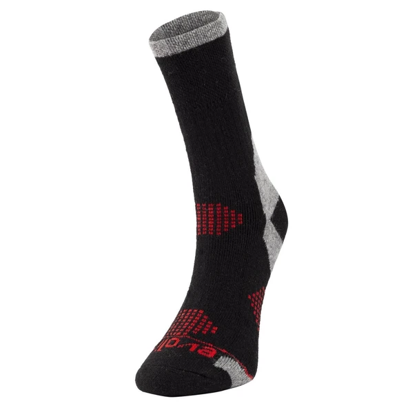 Evolite Alpen Merino Çorap - Resim 5
