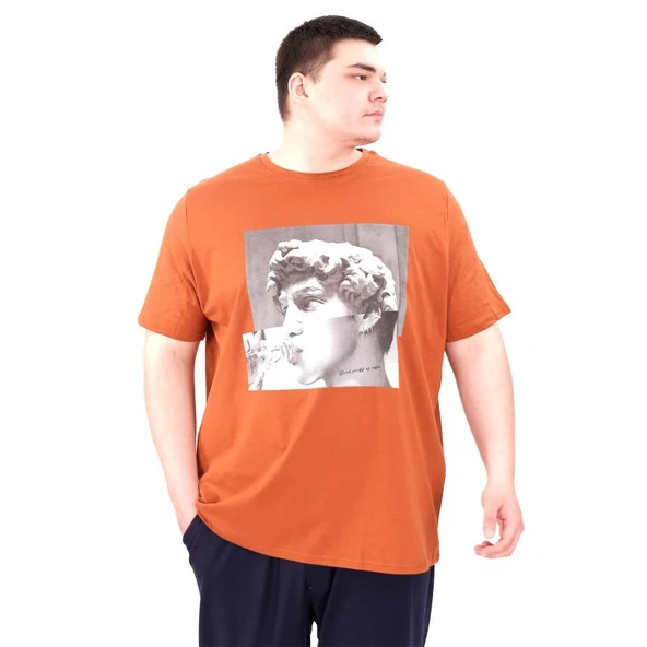 Büyük Beden Erkek T-Shirt Bisiklet Yaka STATUE 25027 Tarçın ürün görseli 1