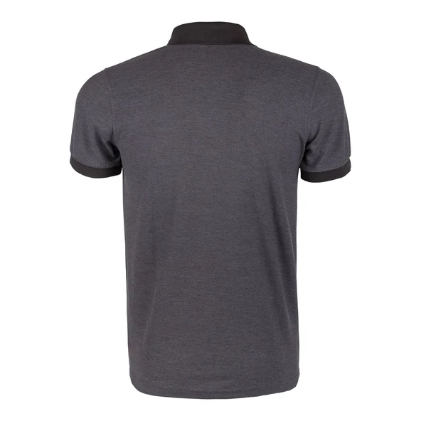 Evolite DeepRaw Erkek Polo T-Shirt- Antrasit - Resim 4