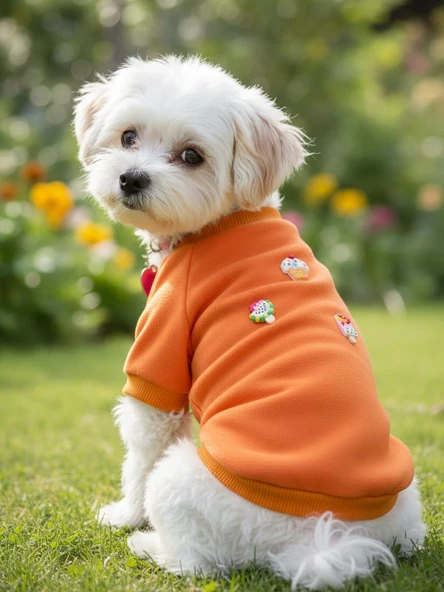 Ice Cream and Cupcakes Köpekler için Polar Sweatshirt ürün görseli 1