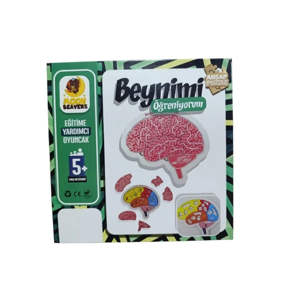 Moon Beavers Beynimi Öğreniyorum ürün görseli 1
