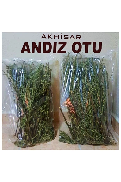 Yapışkan Andız Otu Akhisar Dallı Yapraklı, Hakiki, Doğal, Orjinal, Kendimiz Topluyoruz. ürün görseli 1