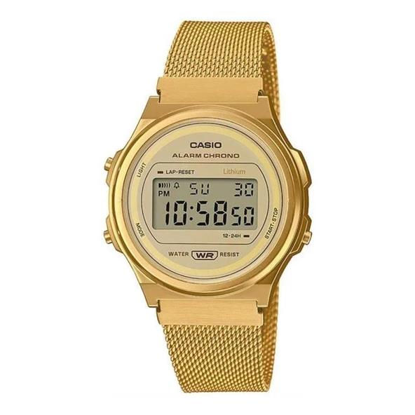 Casio Retro A171WEMG-9ADF Erkek Kol Saati ürün görseli 1