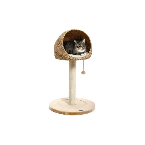 Karlıe Kedi Tırmalama Muz Yaprağı Iı 56x93cm ürün görseli 1