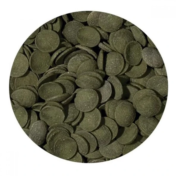Tropical Green Algae Wafers 250 Ml - Resim 2