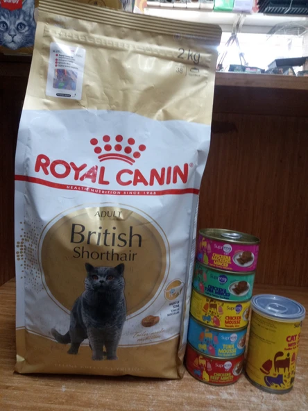 Royal Canin British Shorthair Yetişkin Kedi Maması 2 kg + 5 ADET KARIŞIK AROMA PÜRE KEDİ KONSERVE 85 GRAM+1 ADET TAVUKLU KEDİ ÇORBASI 135 ML ürün görseli 1