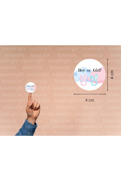 İngilizce Kız mı Erkek mi Etiketi Boy or Girl Cinsiyet Partisi Baby Çocuk Mat Sticker 4 Cm (90 Adet) ürün görseli 1