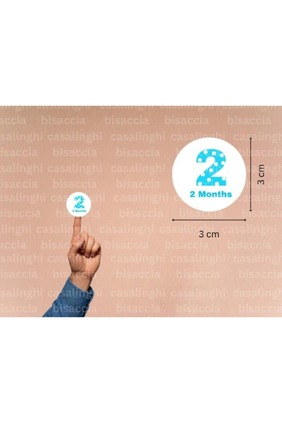 3 Cm (95 Adet) Mavi 2 Months Etiketi Puanlı İki Aylık Yuvarlak Mat Çıkartma Bebek Cute Round Sticker ürün görseli 1