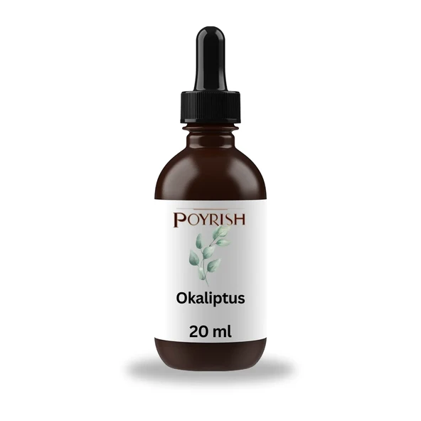Okaliptus Mum Esansı 20 ml. ürün görseli 1