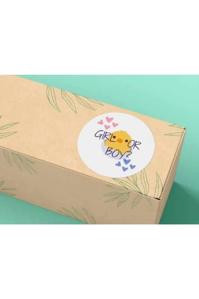 Girl Or Boy Renkli Sevimli Sticker Mat Etiket Baby Shower Bebek Cinsiyet Parti Serisi 4 Cm (40 Adet) ürün görseli 1