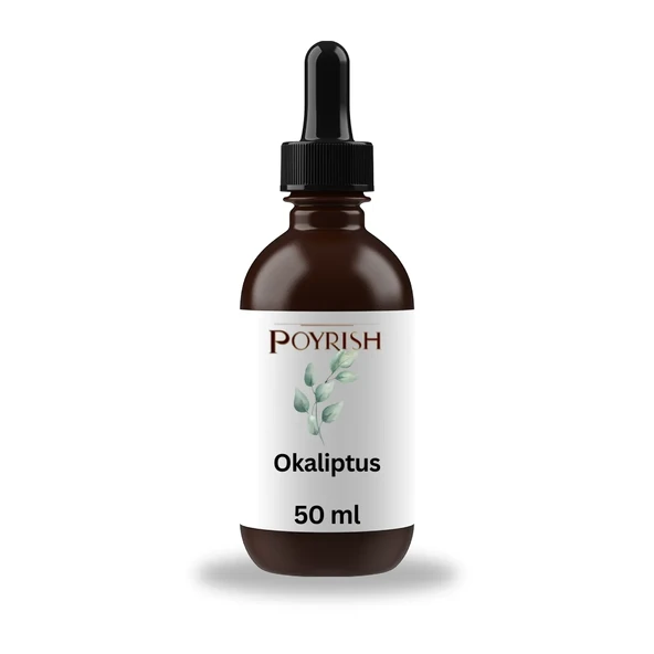 Okaliptus Mum Esansı 50 ml. ürün görseli 1