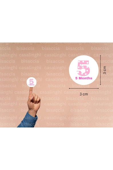 3 Cm (95 Adet) İngilizce 5 Aylık Etiketi Pembe 5 Months Çıkartması Puanlı Beş Aylık Yuvarlak Mat ürün görseli 1