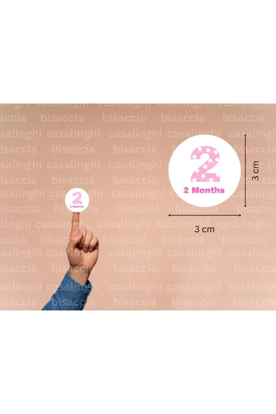 3 Cm (95 Adet) Pembe 2 Months Etiketi Puanlı İki Aylık Yuvarlak Mat Çıkartma Baby Cute Round Sticker ürün görseli 1