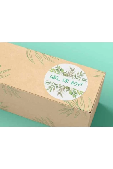 Cinsiyet Partisi Renkli Sevimli Sticker Mat Etiket Baby Shower Serisi 4 Cm (40 Adet) ürün görseli 1