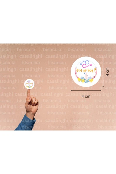 İngilizce Cinsiyet Partisi Etiketi Girl or Boy Erkek mi Kız mı Çocuk Mat Sticker 4 Cm (90 Adet) ürün görseli 1