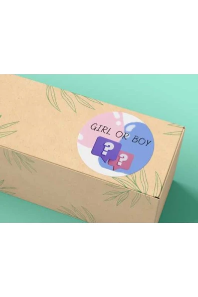 Girl Or Boy Sticker Cinsiyet Partisi Yuvarlak Mat Etiket Baby Shower Serisi 4 Cm (40 Adet) ürün görseli 1
