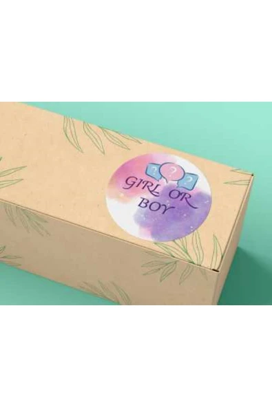 Girl Or Boy Sevimli Sticker Mat Etiket Baby Shower Serisi 4 Cm (40 Adet) ürün görseli 1