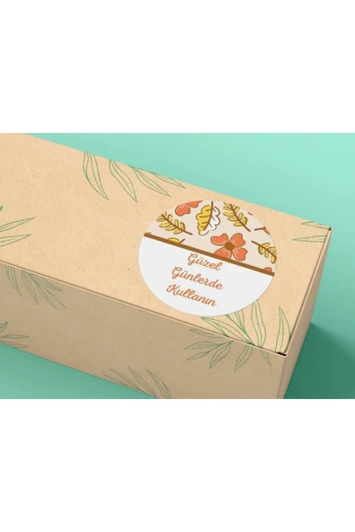 (250 ADET) 4 Cm Güzel Günlerde Kullanın Mat Etiket Turuncu Sonbahar Sticker Autunno Adesivi ürün görseli 1