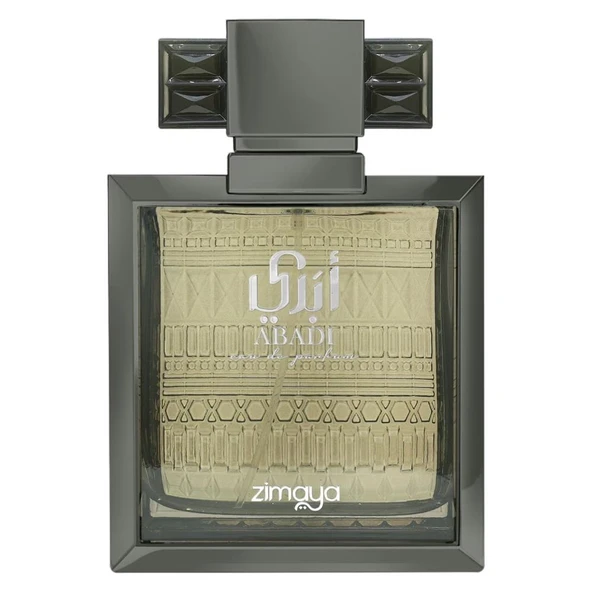 Zimaya Abadi Saga EDP 100 ml Erkek Parfümü ürün görseli 1