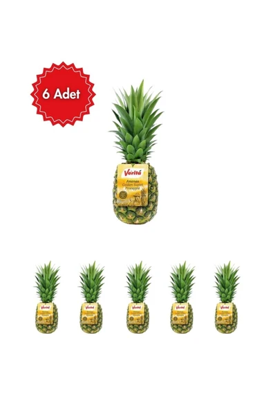 Verita Ananas 6'lı Avantaj Paketi (Taze & Sulu Tropikal Lezzet) ürün görseli 1
