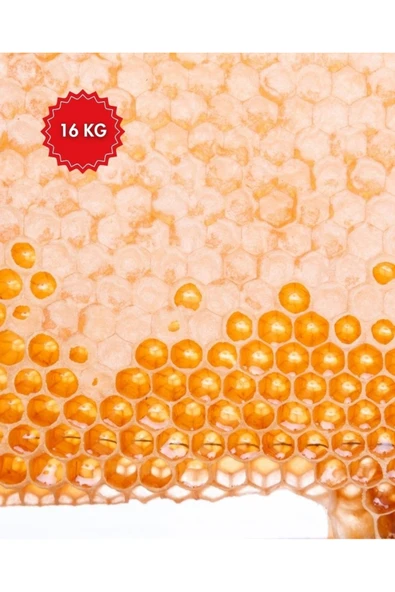 Araz et Ağrı Petek Bal x 16 KG - Geleneksel Lezzet ve Yoğun Aroma ürün görseli 1
