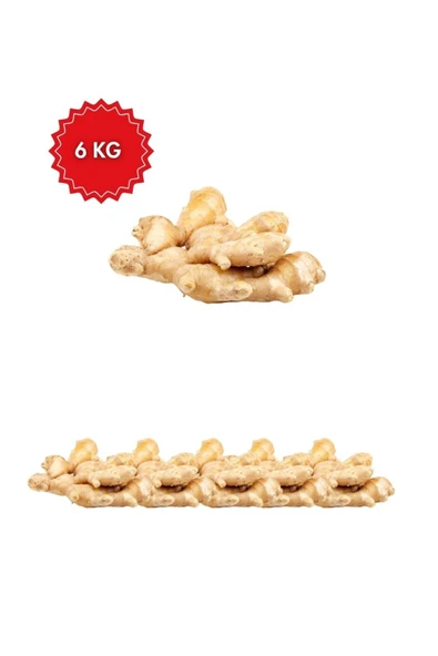 Verita Taze Kök Zencefil 6 KG - (Toptan Fiyat Avantajı) ürün görseli 1