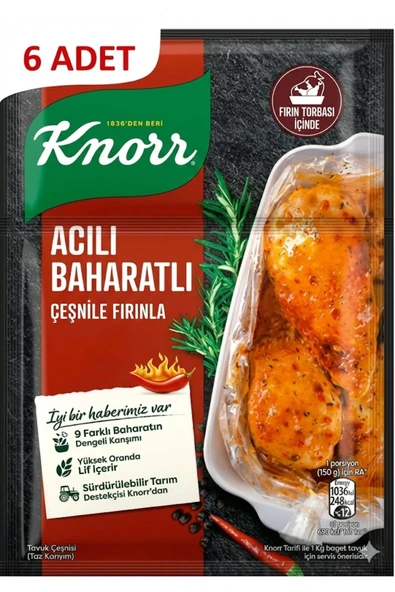 Knorr Acılı Baharatlı Fırında Tavuk Çeşnisi 31 g x6 Adet | Pratik Baharat Karışımı ürün görseli 1
