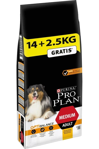 Proplan Medium Adult Tavuklu Yetişkin Köpek Maması 16,5 kg ürün görseli 1