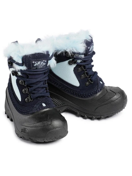 THE NORTH FACE YOUTH SHELLISTA EXTREM ürün görseli 1