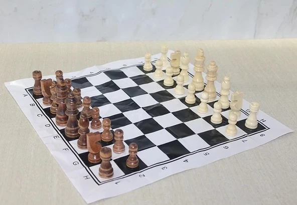 Ahşap Satranç Taşı 10 Cm Alk4017 ürün görseli 1