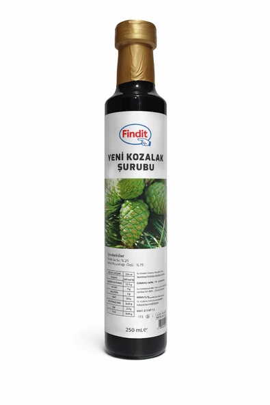 Yeni Kozalak Şurubu - Doğal Bitkisel Destek 250 ml ürün görseli 1