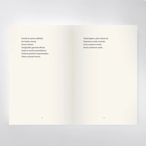 Ayrılığa Yolculuk - Yakup Baksi - Resim 4
