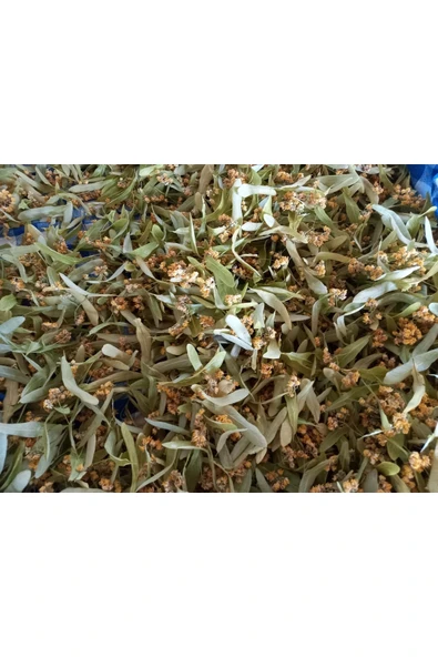 DJMARKET Ihlamur 100 G ürün görseli 1