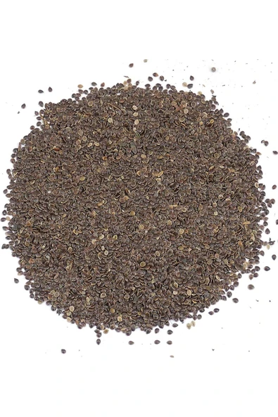 Baltea Isırgan Otu Tohumu 250g ürün görseli 1