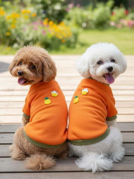 Ice Cream and Pineapple  Turuncu Haki Köpekler İçin Polar Sweatshirt ürün görseli 1