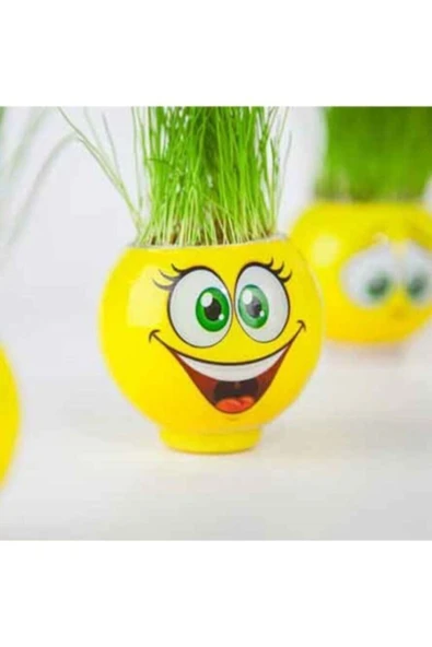 CMT Çimoji Emojili Yeni Nesil Çim Adamlar 2 Adet ürün görseli 1