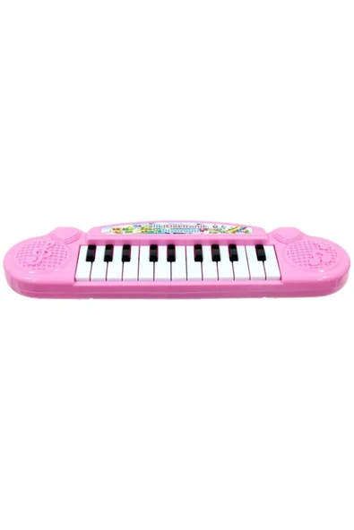 Can Ali Toys Pilli Mini 22 Tuşlu Org ürün görseli 1